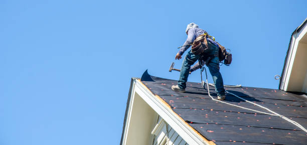 Professional Roofing Contractor in Sutherland, NE